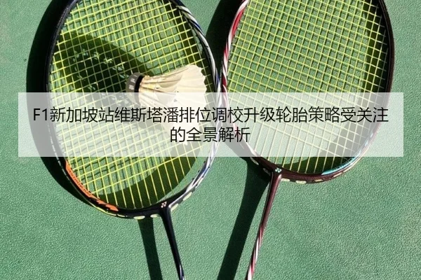 F1新加坡站维斯塔潘排位调校升级轮胎策略受关注的全景解析